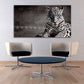 Leopard print home wall decor canvas painting Сontemporary Black and white wild animal for bedroom living room kitchen wall art