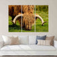 Bull Print Home Wall Decor Bedroom Animal Painting Wild Animal For Bedroom Living Room Kitchen Wall Art